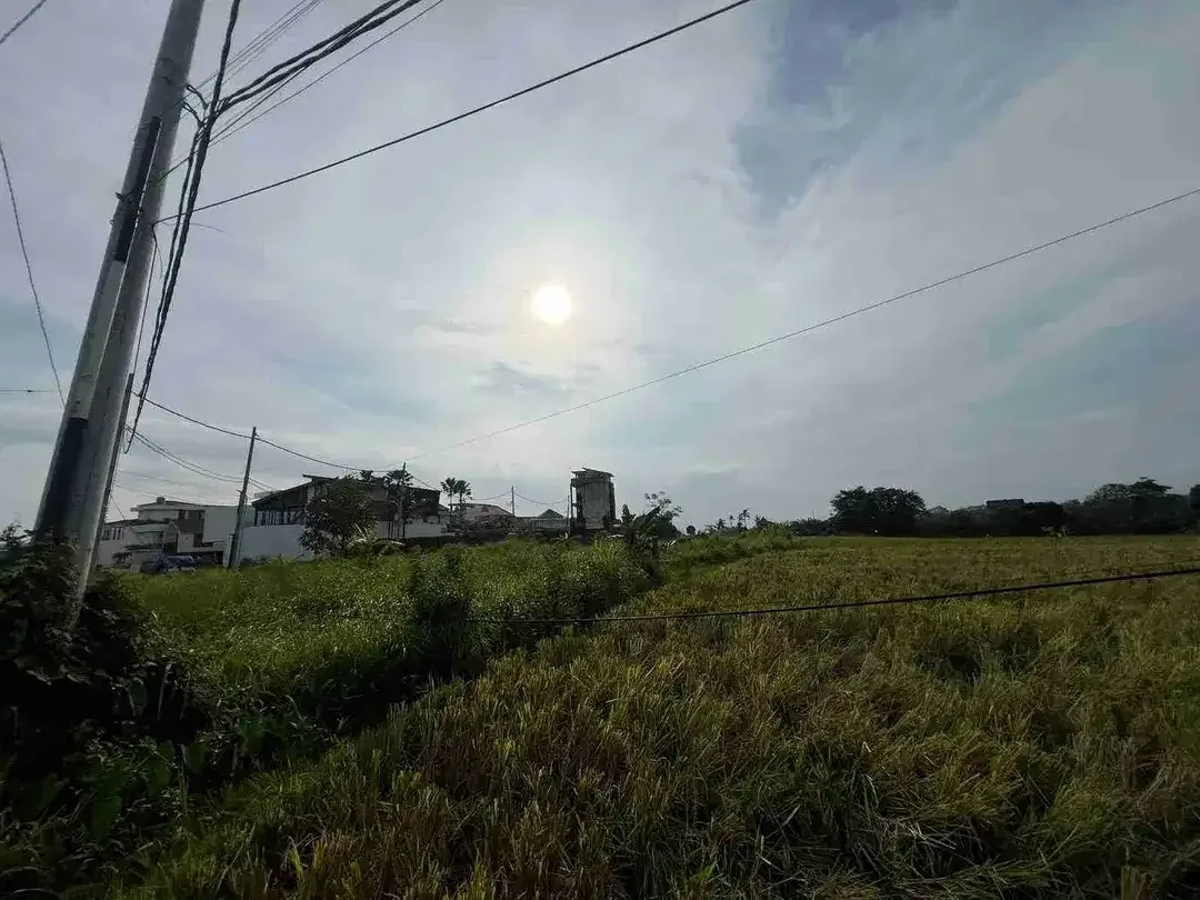 Dijual Tanah 3.080 m² di Cemagi Badung, SHM - Image 5 of 10