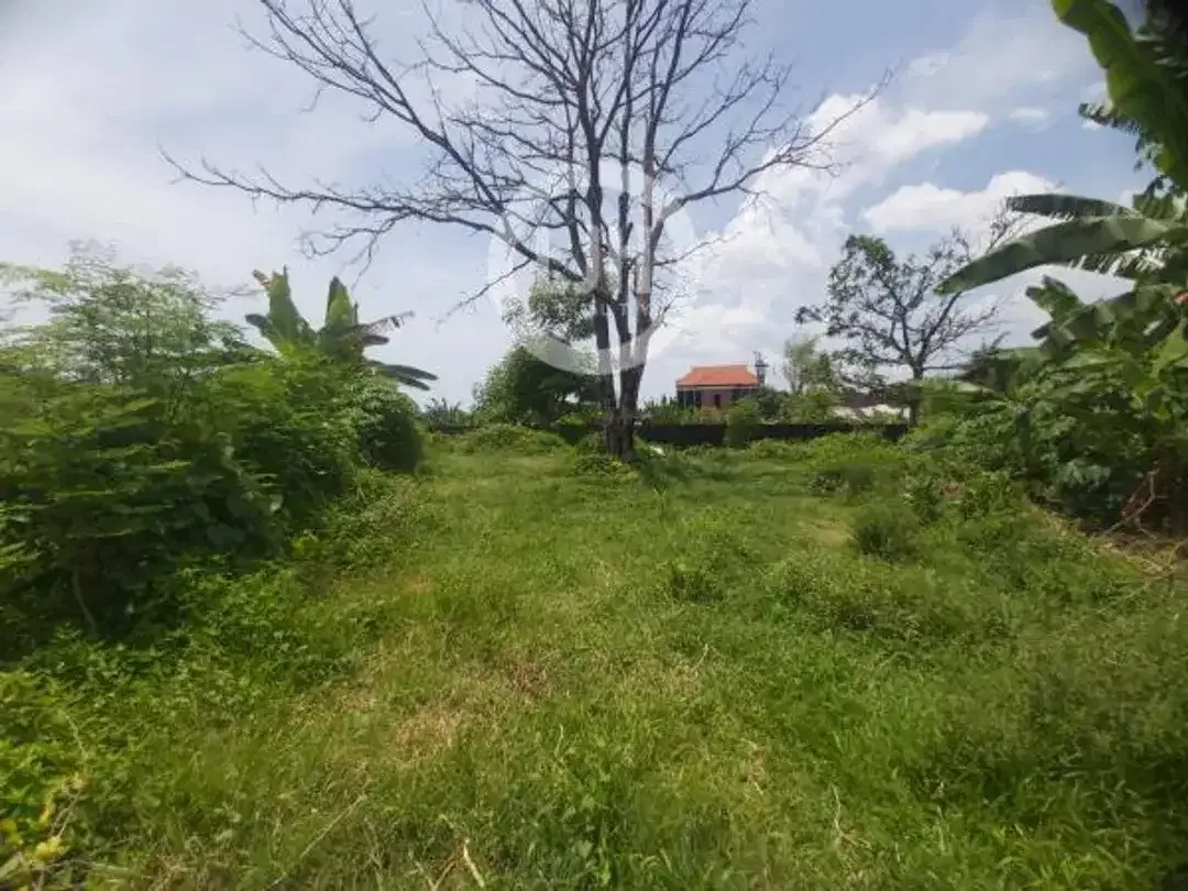 Land in Sanur, Denpasar, Close to the Beach, Harbour, Bali International Hospital and Dyatmika School - Image 4 of 6