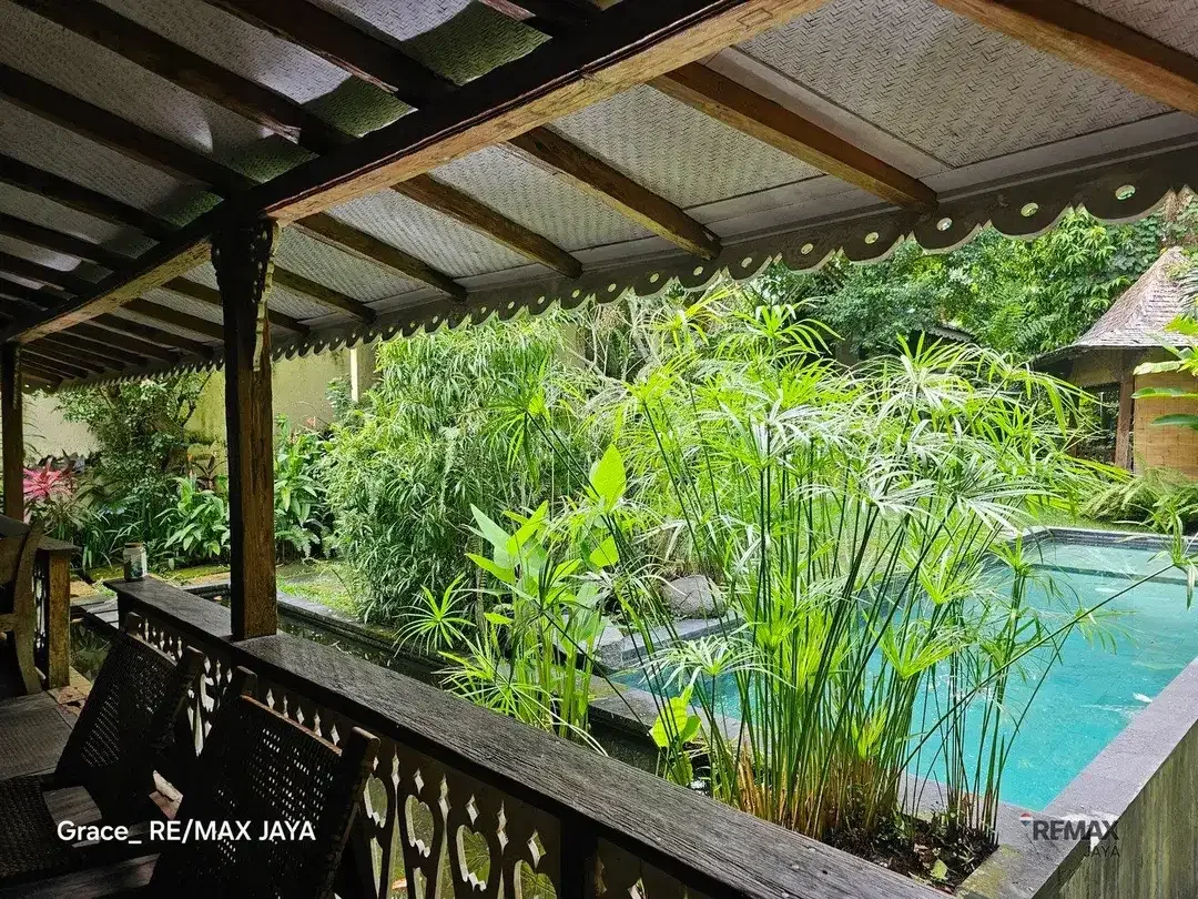 Tanah bonus villa Dijual lokasi Premium Zona Campuran di Canggu - Image 2 of 6