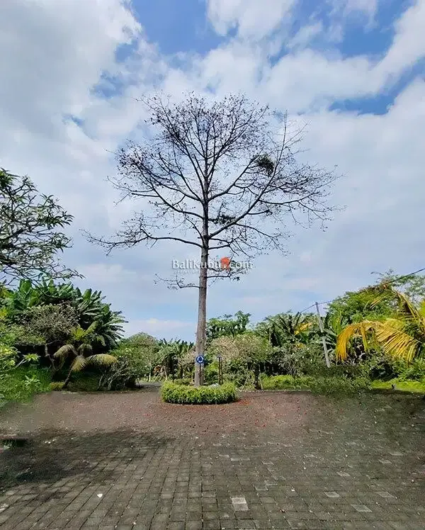 [AMS-067.DRM] Jual Tanah Kavling 1 arean Super Premium Siyut Gianyar - Image 3 of 10