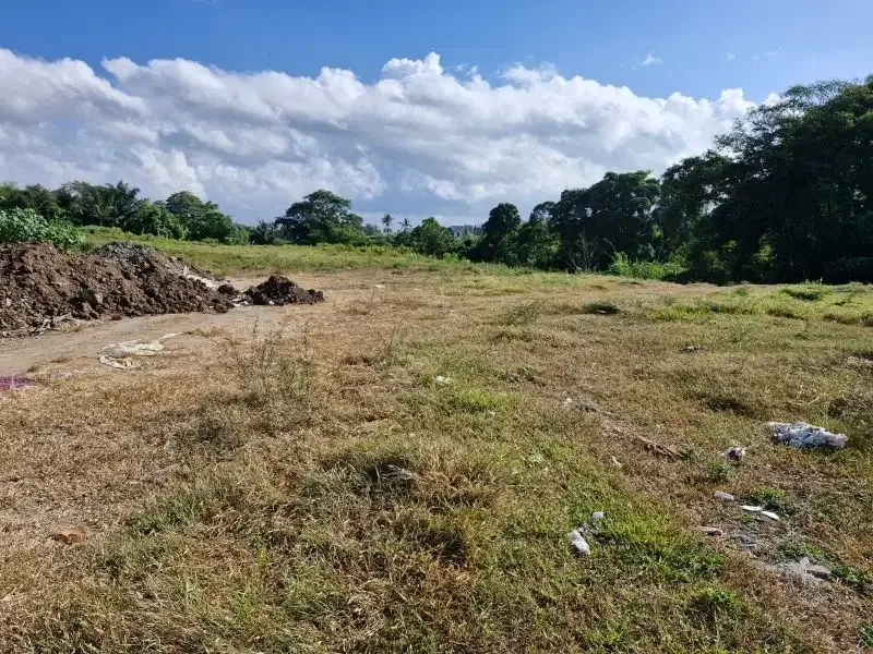 Dijual lahan 1,2ha di Jln by pas IB Mantra Ketewel Bali - Image 3 of 10