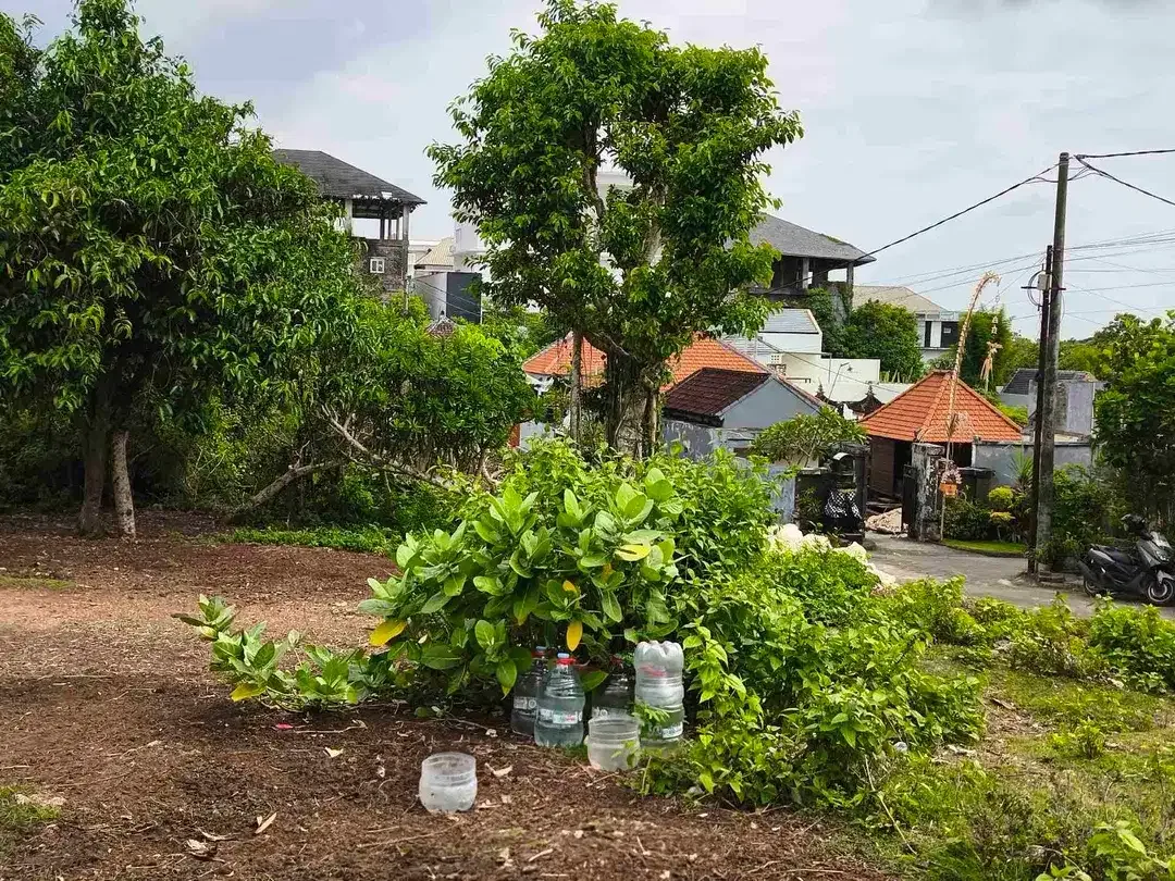 dijual tanah 5 are  harga 500 juta per are Kawasan GWK ungasan Kuta Selatan Badung Bali - Image 4 of 10