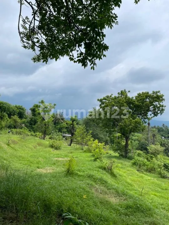 Beachfront Land 1,88 Ha SHM Seraya Karangasem - 169M Garis Pantai - Image 4 of 4