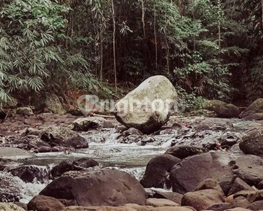 Tanah di Samping Hot Spring Yeh Panes Tabanan - Image 2 of 4