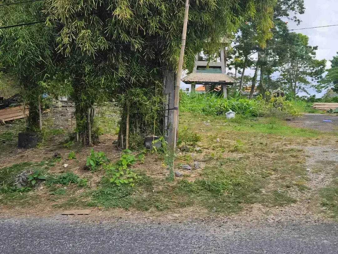 dijual tanah 50 are IDR 430 juta/are Kawasan GWK ungasan Kuta Selatan Badung Bali - Image 3 of 6