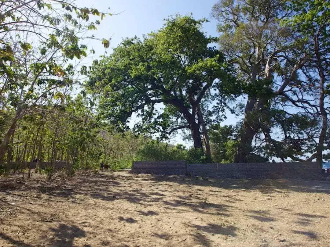 Absolute Beachfront Commercial Zoning Freehold Land of 2,770 Sqm with 65 meter wide beachfront In Amed - Image 9 of 10