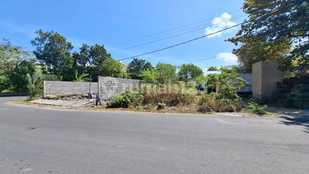 Dijual Tanah 10 Are Strategis Denpasar #6436 - Image 1 of 4