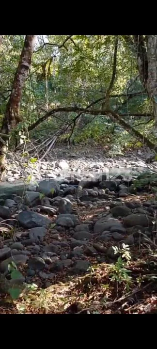 Dijual Tanah Lokasi di Munduk Bajera Utara View Sungai - Image 2 of 4