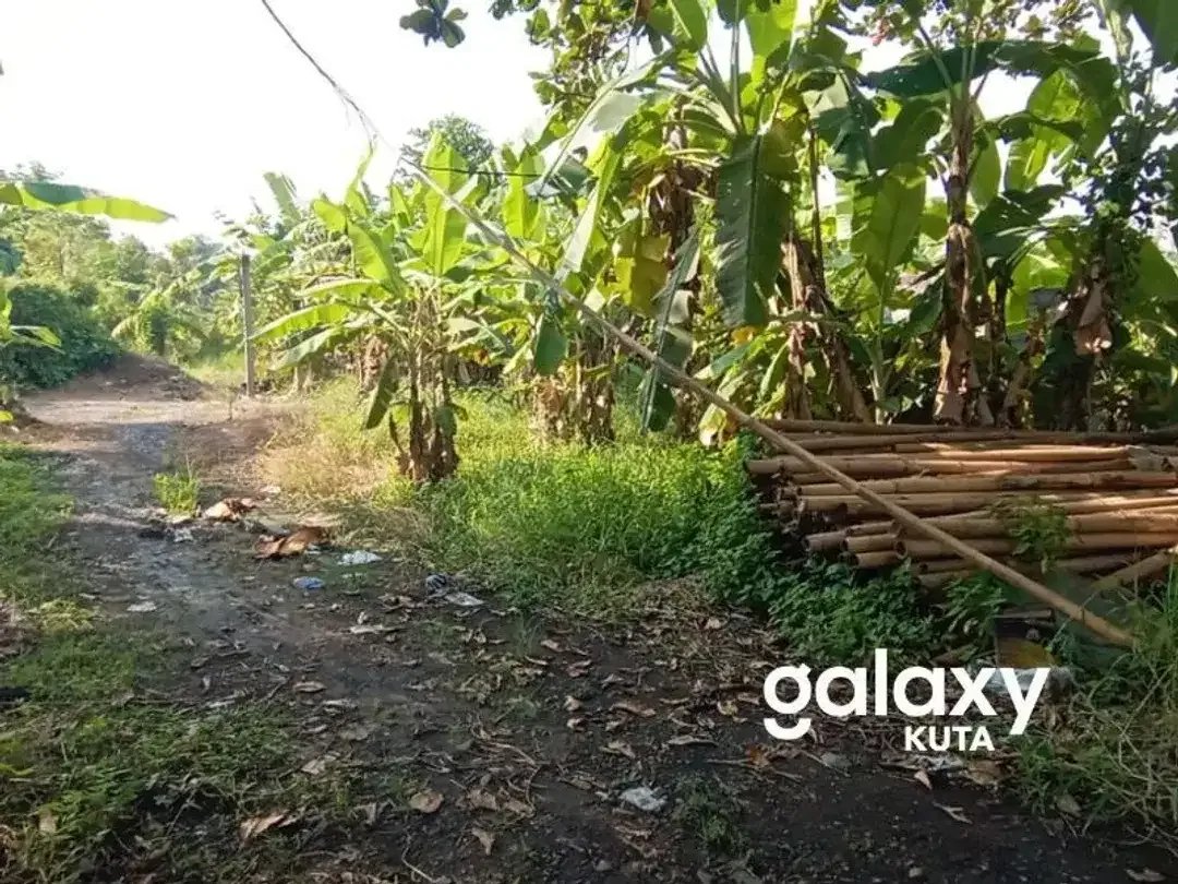 JUAL SEWA TANAH IDA BAGUS MANTRA TULIKUP GIANYAR - Image 3 of 6