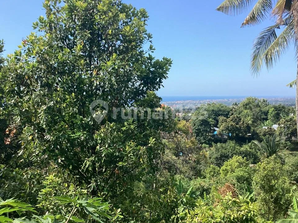 For Sale My Fantastic Ocean View Land N House On Aspal - Image 3 of 4