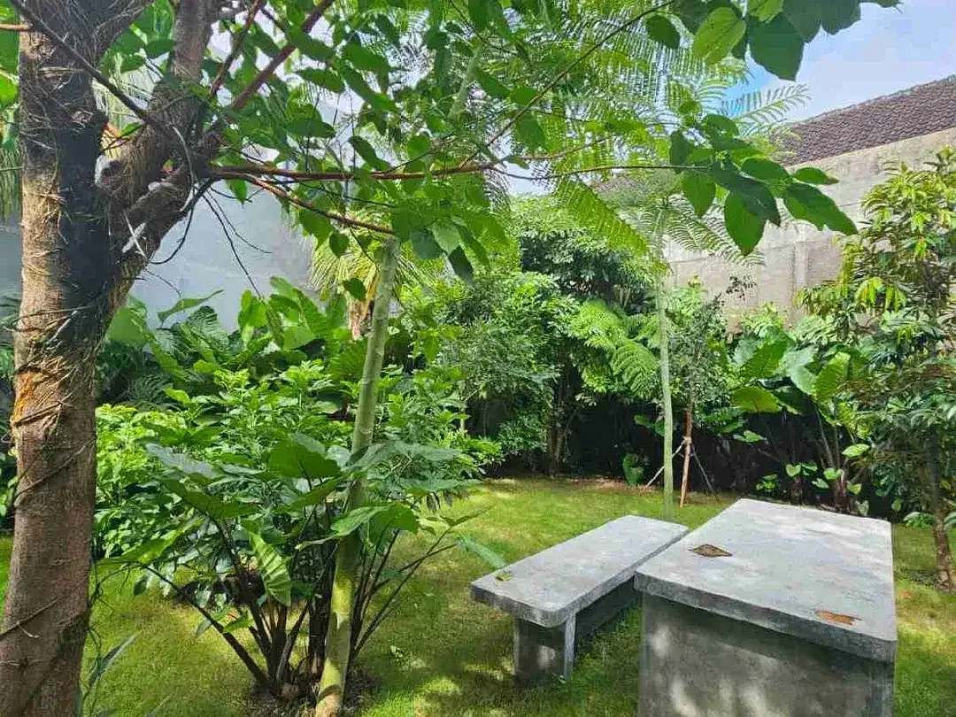 villa dan rumah  sangat cocok untuk tempat tinggal dan  investasi - Image 3 of 10