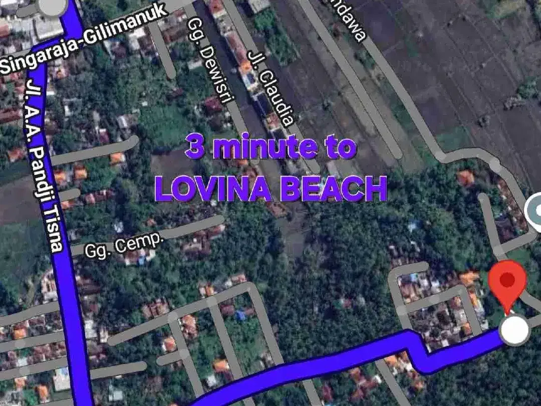 Jual tanah 10 are dekat PANTAI LOVINA / LOVINA DOLPIN Buleleng Bali, cck utk VILLA - Image 1 of 10