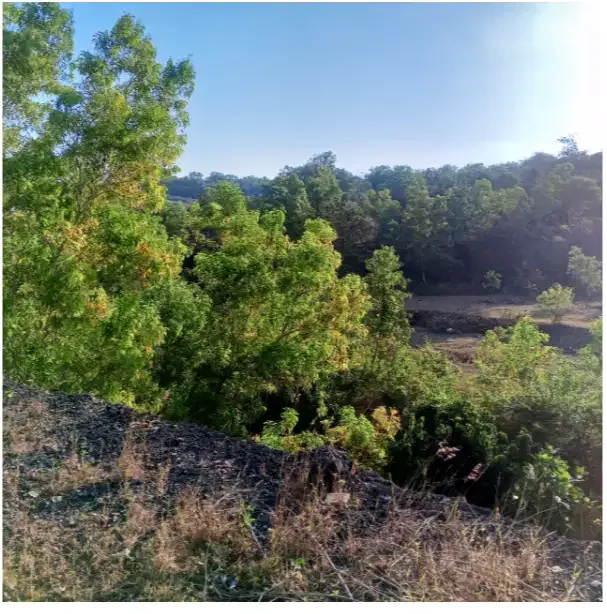 Land for Rent at Pecatu - Image 9 of 10