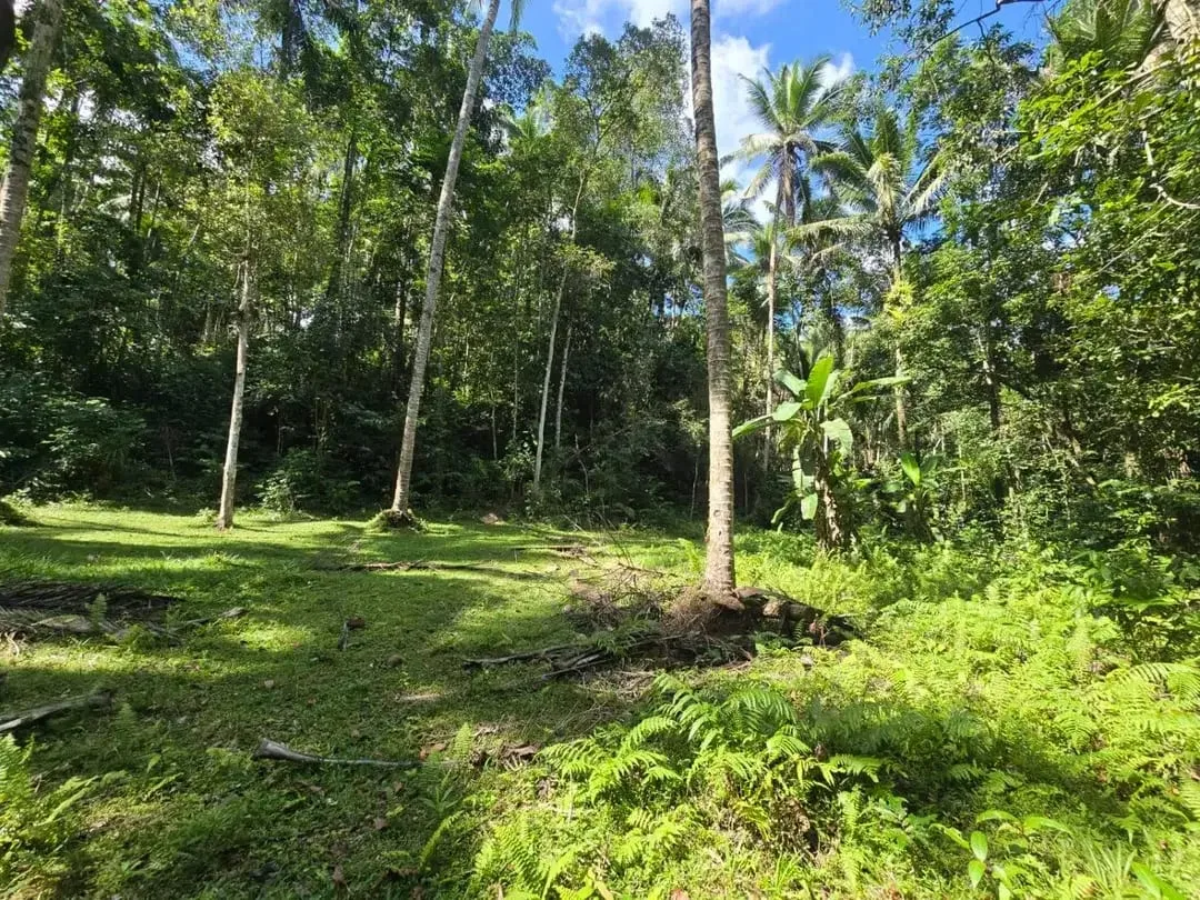DIJUAL TANAH MURAH DI TABANAN - Image 4 of 10