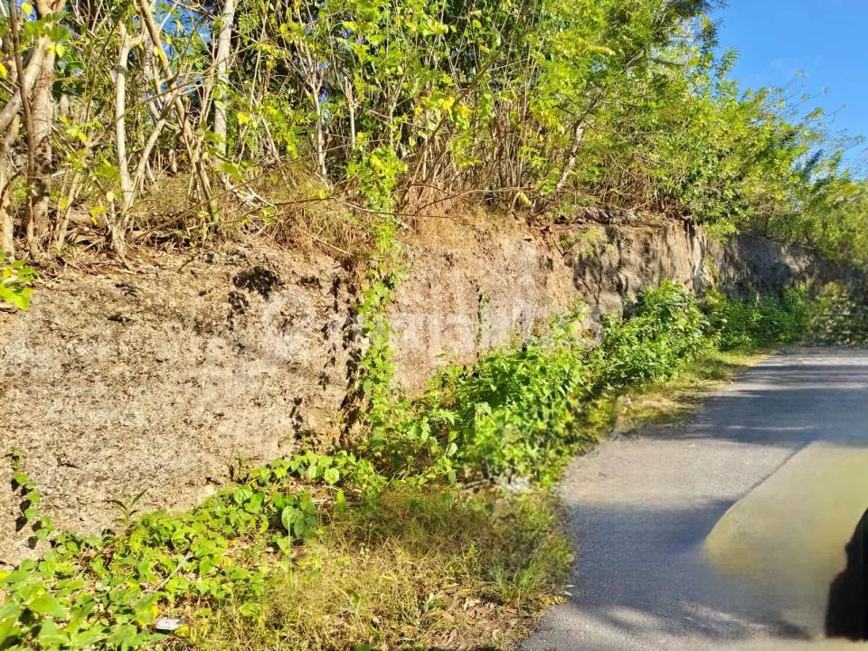 Dijual atau Disewakan Tanah Area Padang Padang, Uluwatu Bali - Image 4 of 4
