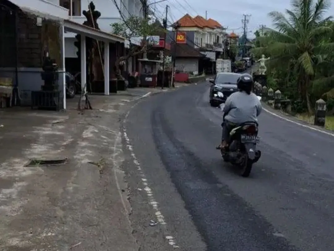 Tanah 25,76 Are Zona Perumahan Disewakan, di Area Sukawati Gianyar - Image 2 of 6