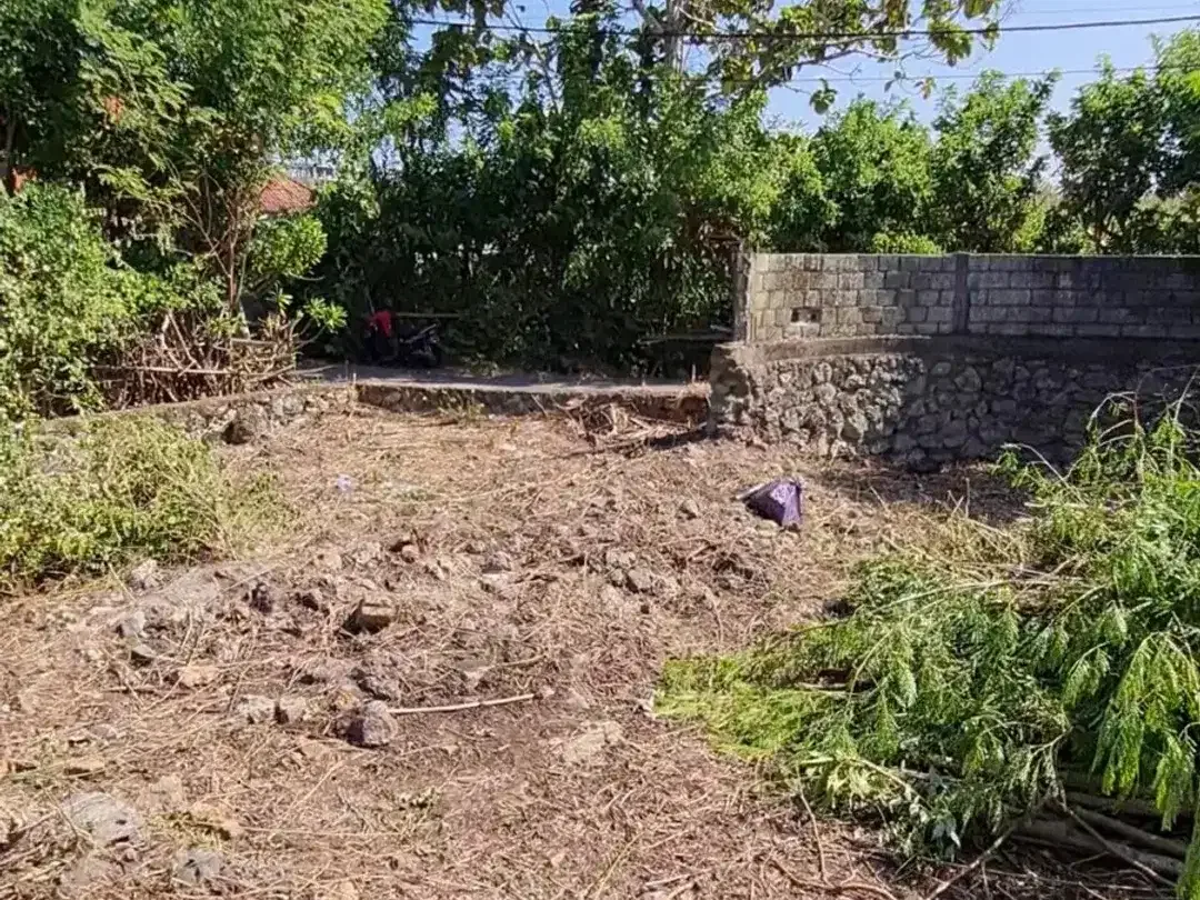 LAND FOR SALE - 6 ARE IN ULUWATU - UNGASAN - Image 3 of 5