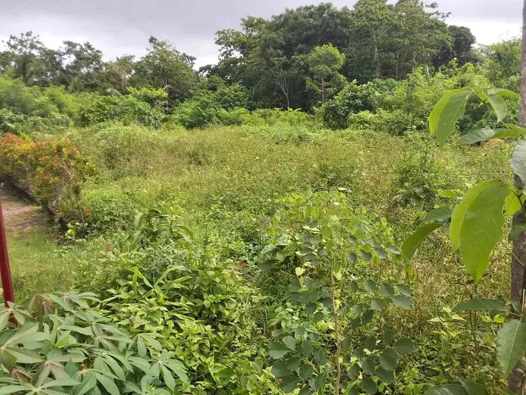 Di sewakan lahan komersil cocok untuk usaha karena di jalan utama labuan sait Pecatu - Image 6 of 10