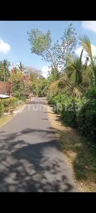 Jual Tanah Kebun Durian Murah di Tabanan - Image 2 of 4