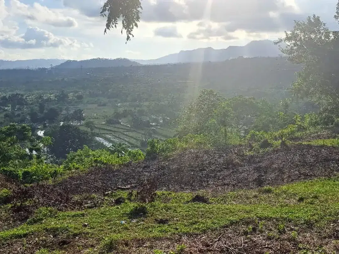 Leasehold view land Ababi Tirtagangga Karangasem - Image 4 of 4