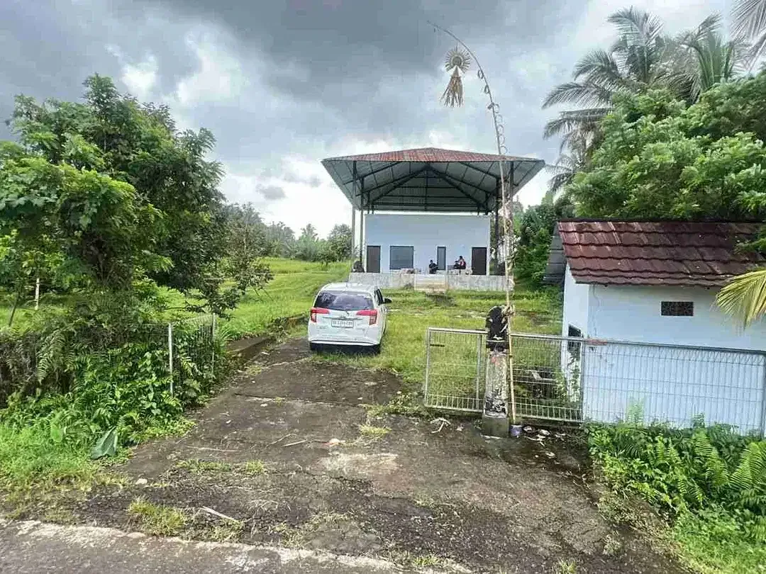 Jual kebun durian premium harga murah view bagus di tabanan bali. - Image 9 of 10