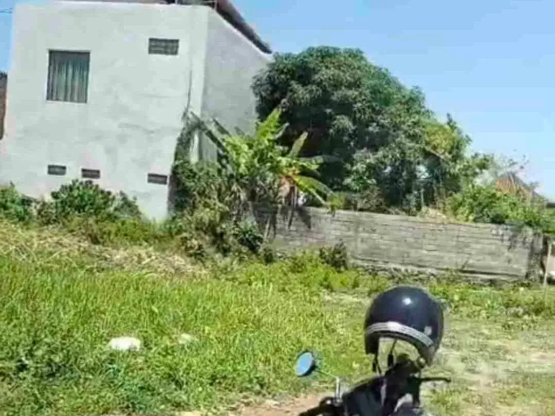tanah buduk - Image 2 of 9