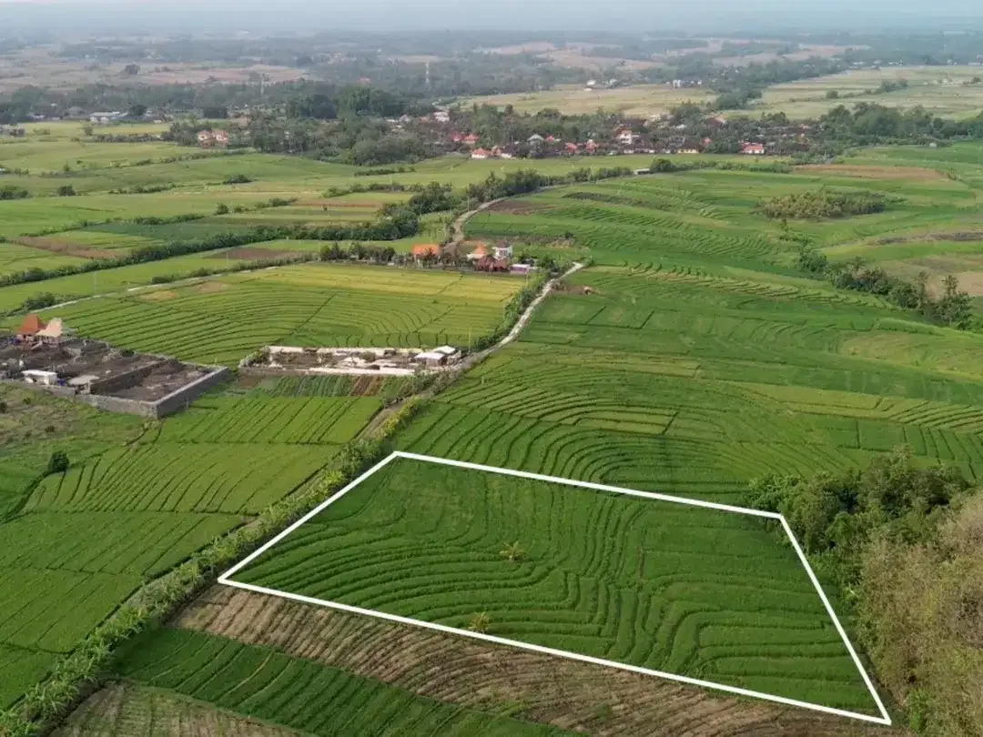 Dijual Tanah Dengan View Sawah yang Indah dan Tenang di Bali. Investasi Masa Depan. - Image 2 of 5