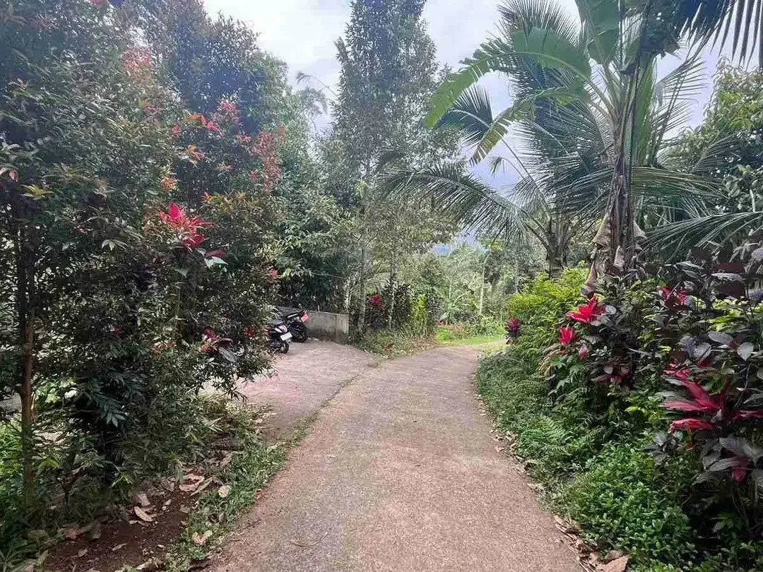 jual tanah Luas kecil ketinggian 550 MDPL di tabanan bali. - Image 1 of 10
