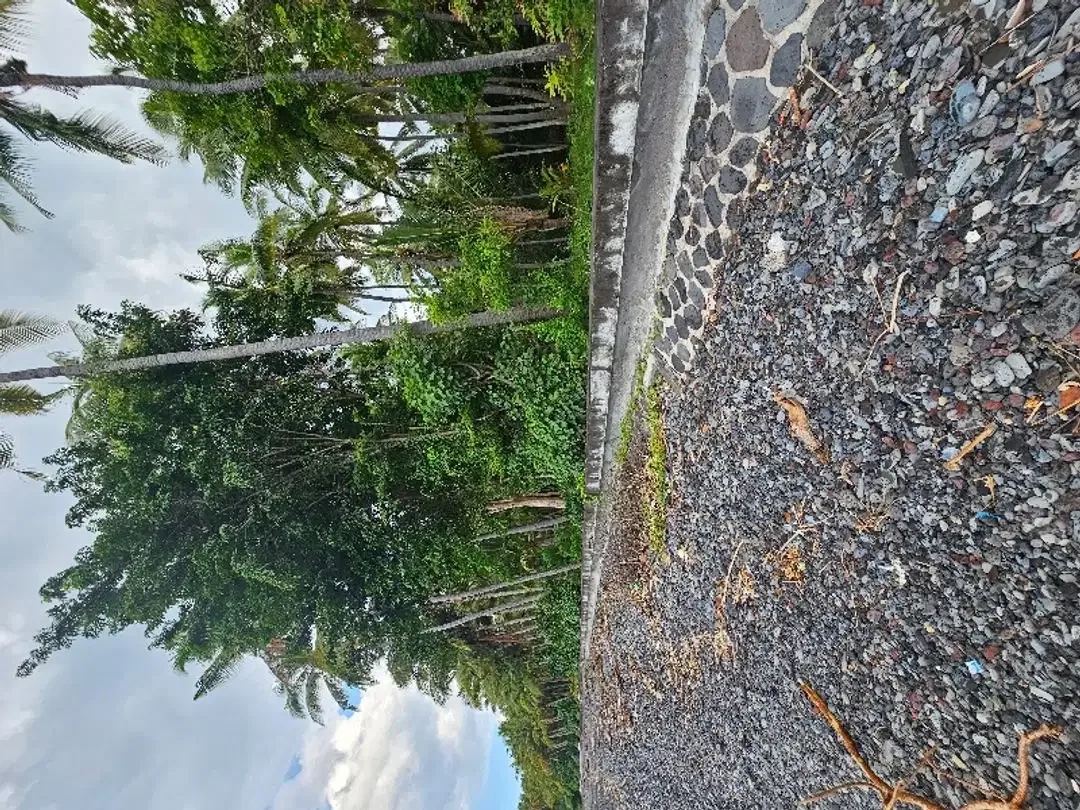 dijual murah tanah pinggir pantai  dekat airport yang akan di bangun - Image 7 of 10