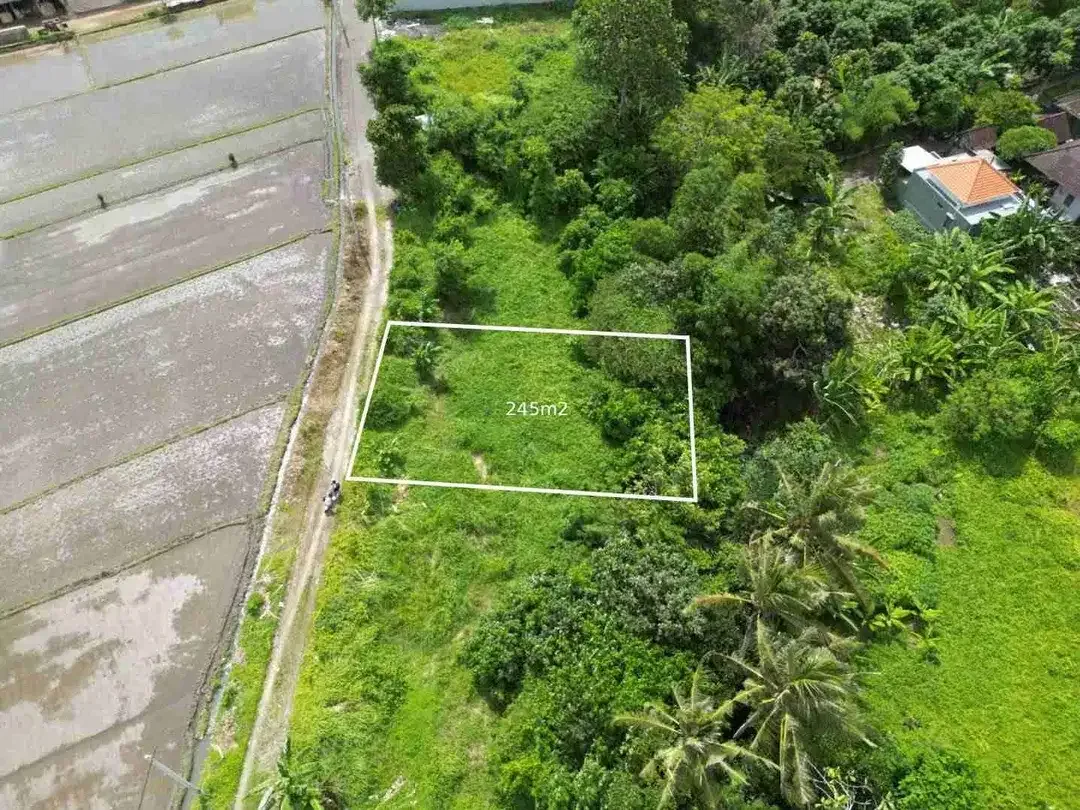 tanah plot kecil dekat pantai kedungu tabanan sangat bagus di bangun villa - Image 5 of 7