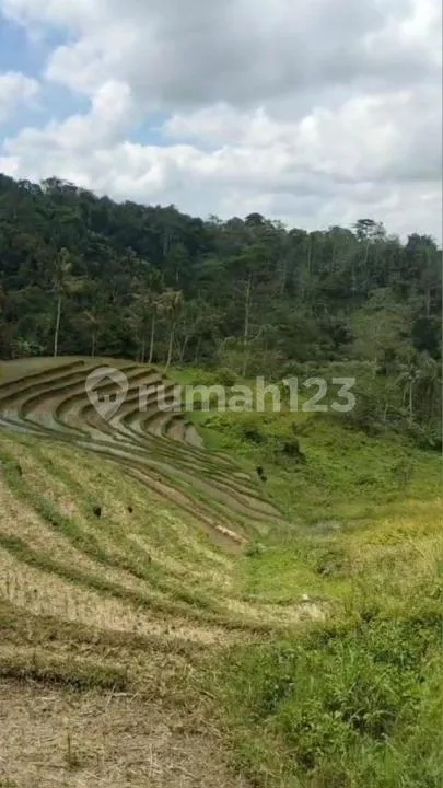 Di Jual Tanah dengan Harga Yg Murah dengan View Yg Sangat Indah - Image 2 of 4