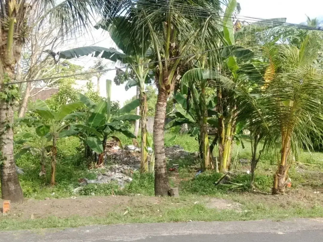 Strategic Land in Desa Wisata Kaba-Kaba For Sale - Image 6 of 10