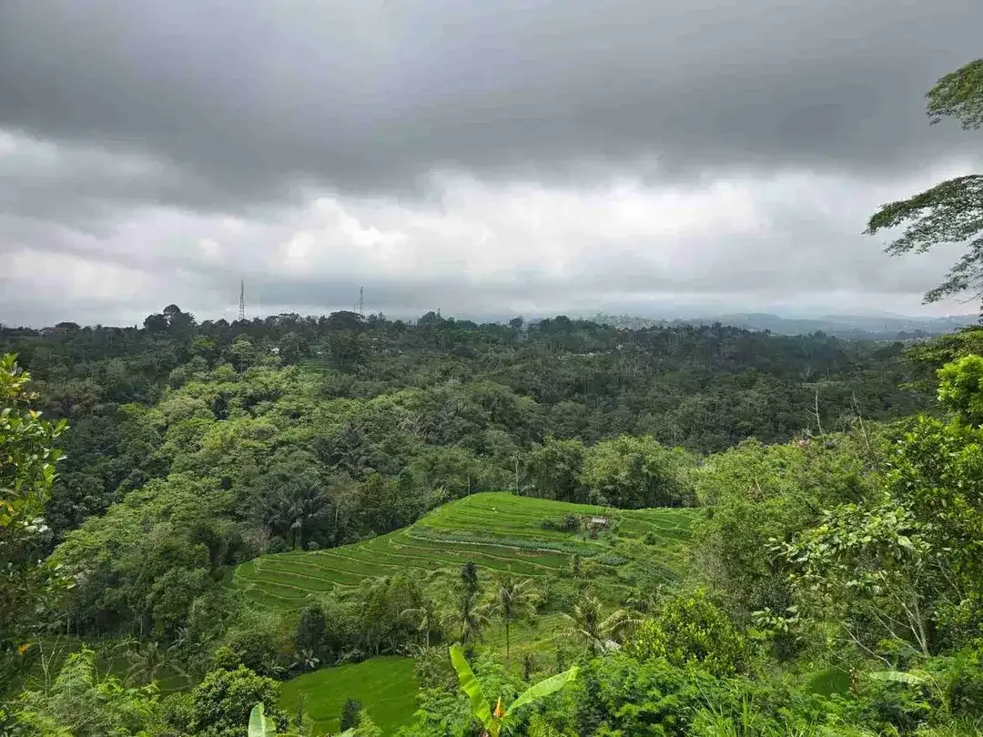 Tanah kebun view tiga gunung dan view sawah sangat panorama - Image 9 of 9