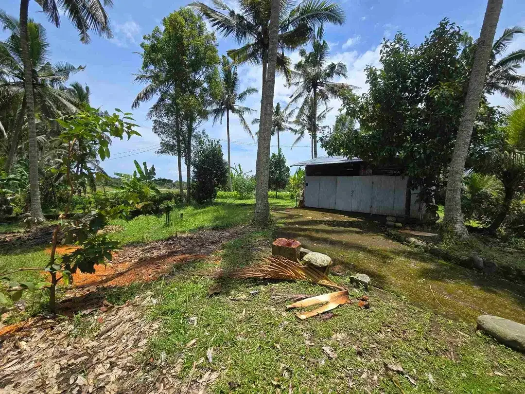 Dijual tanah view sawah zona kuning di kerambitan tabanan bali - Image 10 of 10