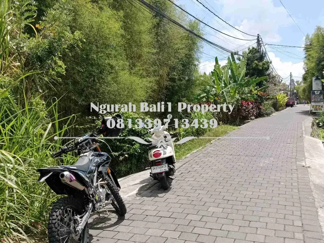 Tanah Dijual Murah Luas 7  Are Kawasan Villa di Petulu Ubud - Image 1 of 4