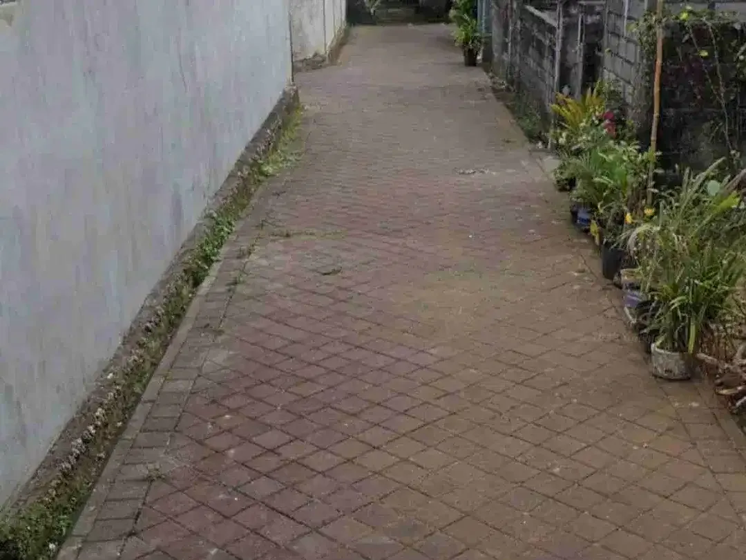 disewakan tanah 5 are harga 10 juta /are /tahundekat politeknik jimbaran badung bali - Image 6 of 6