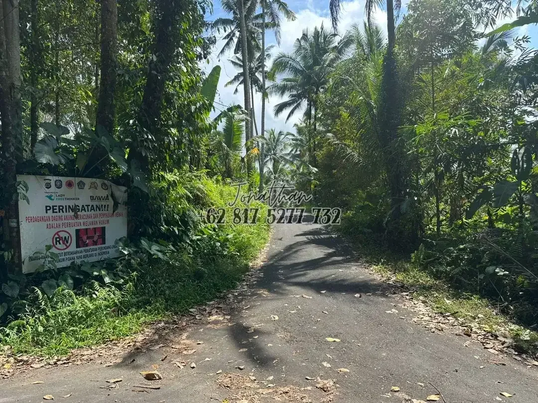 Dijual Tanah SHM Pinggir Jalan Raya 2 Are di Br. Sema Payangan Ubud Bali - Image 5 of 8