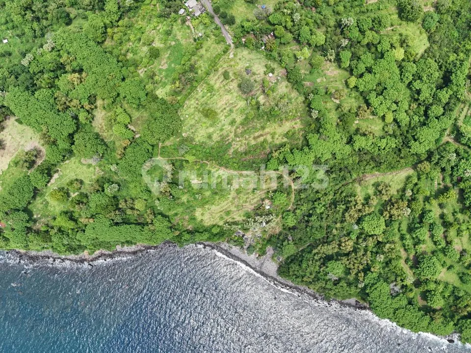 Beachfront Land 1,88 Ha SHM Seraya Karangasem - 169M Garis Pantai - Image 3 of 4