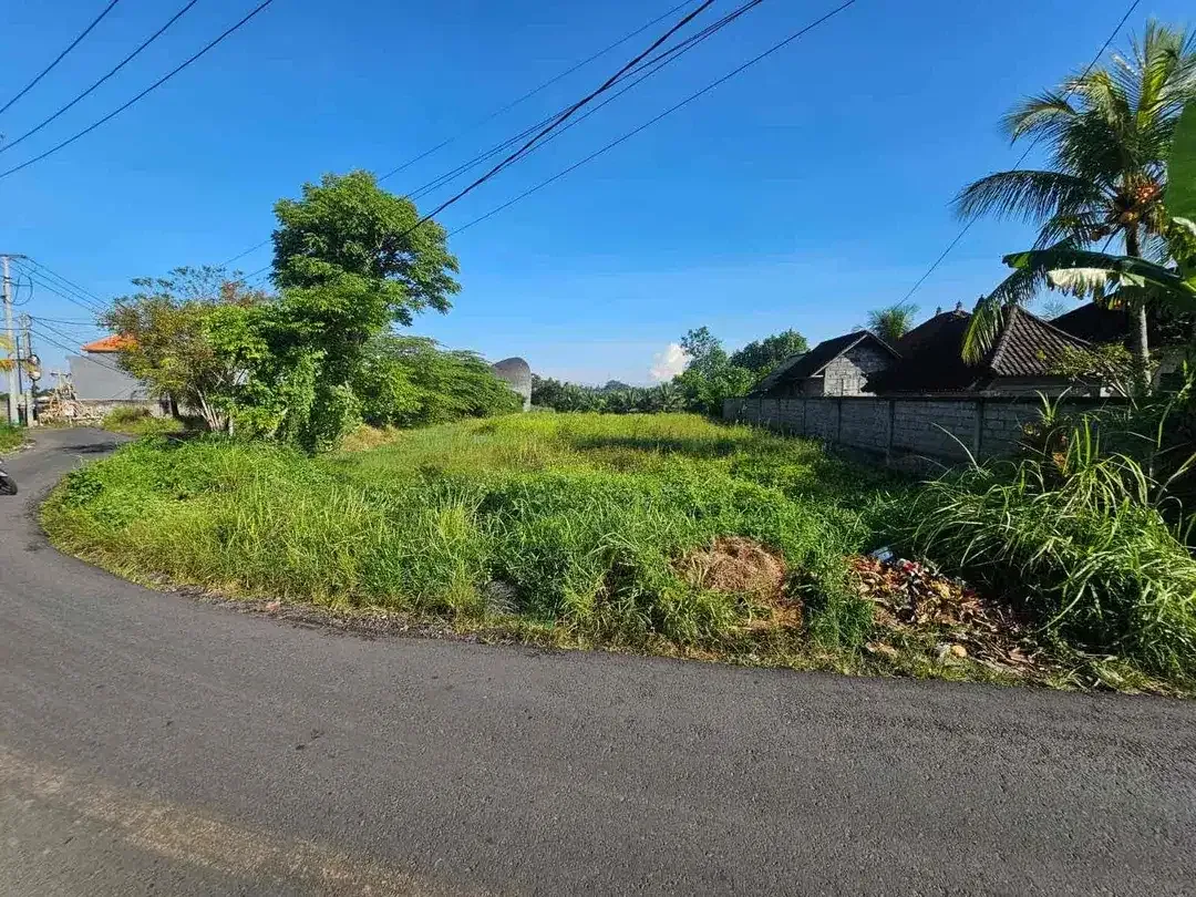 Dijual tanah lokasi buwit kaba kaba tabanan - Image 1 of 4