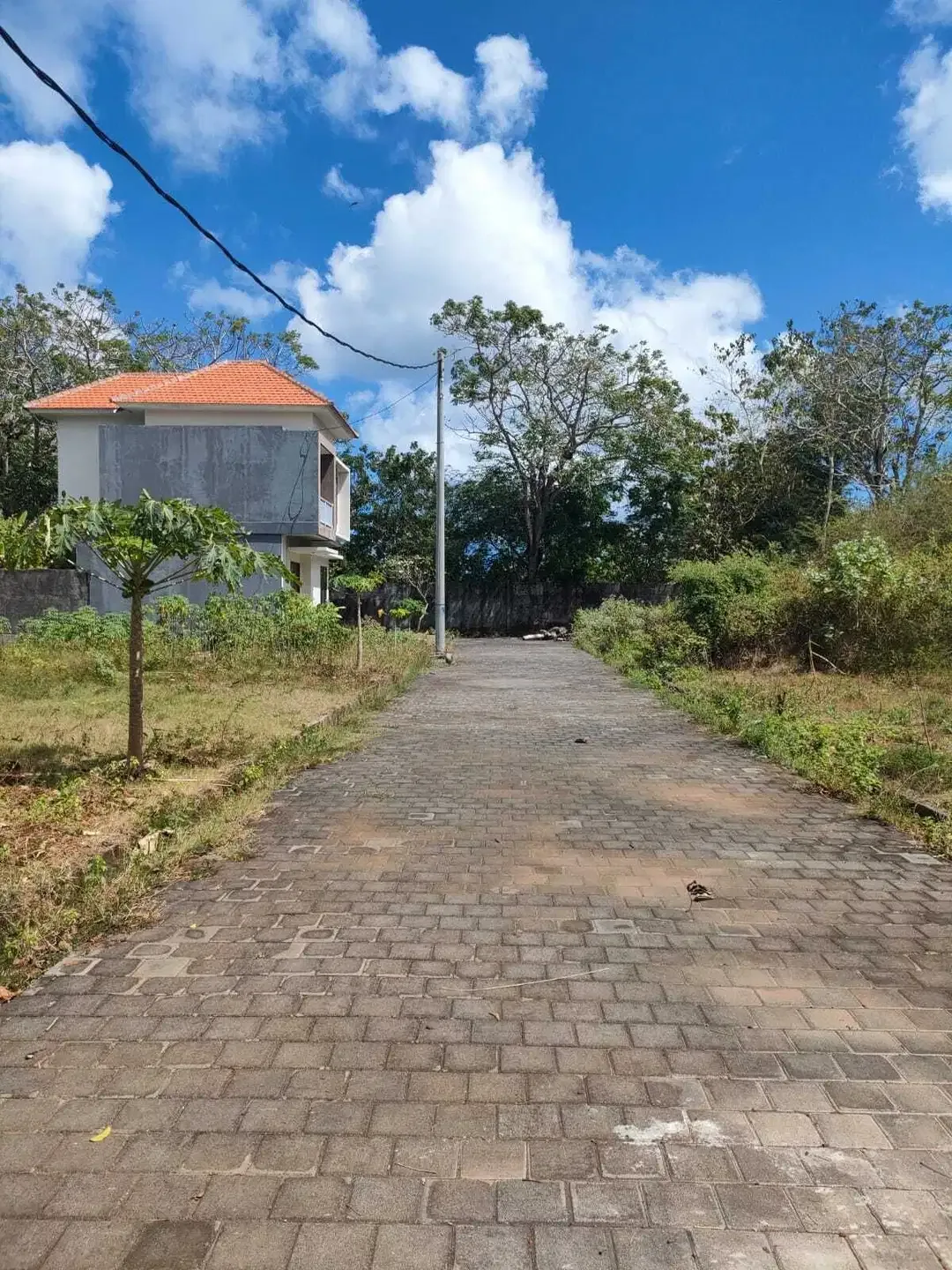Tanah 2 Are Strategis Dekat kampus dan Mall di Taman Penta Jimbaran - Image 8 of 8