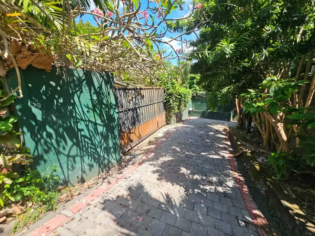 disewakan tanah premium canggu - Image 8 of 9