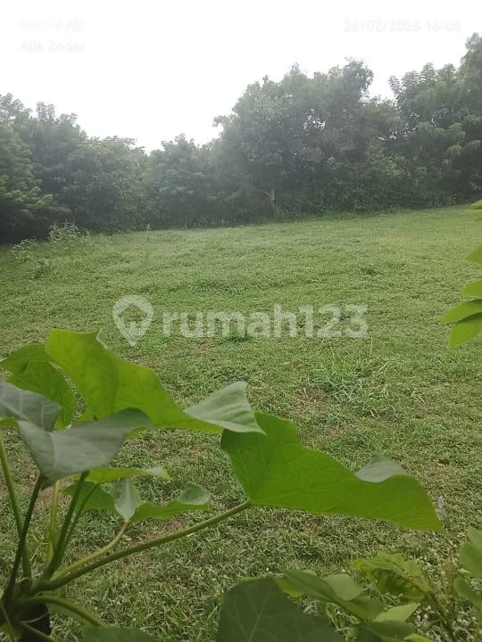 Tanah Los Pantai Strategis Luas di Negara, Jembrana - Image 3 of 4