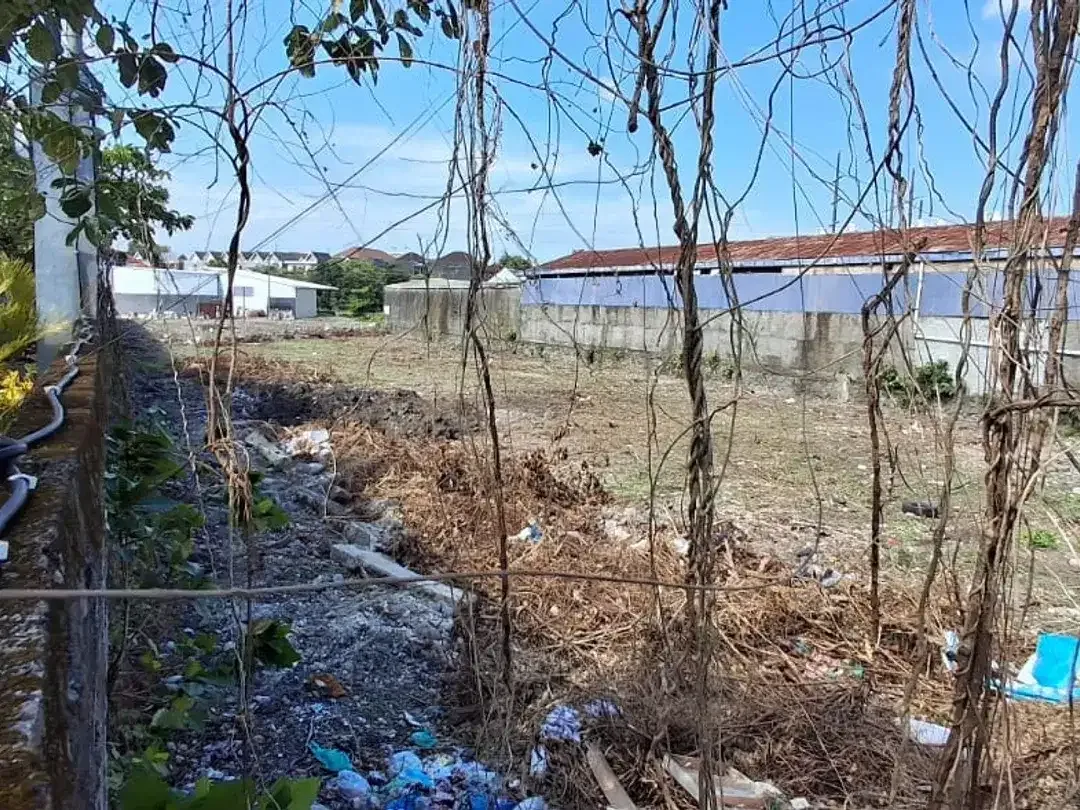 Dijual tanah pusat niaga Teuku Umar Barat Denpasar - Image 3 of 6