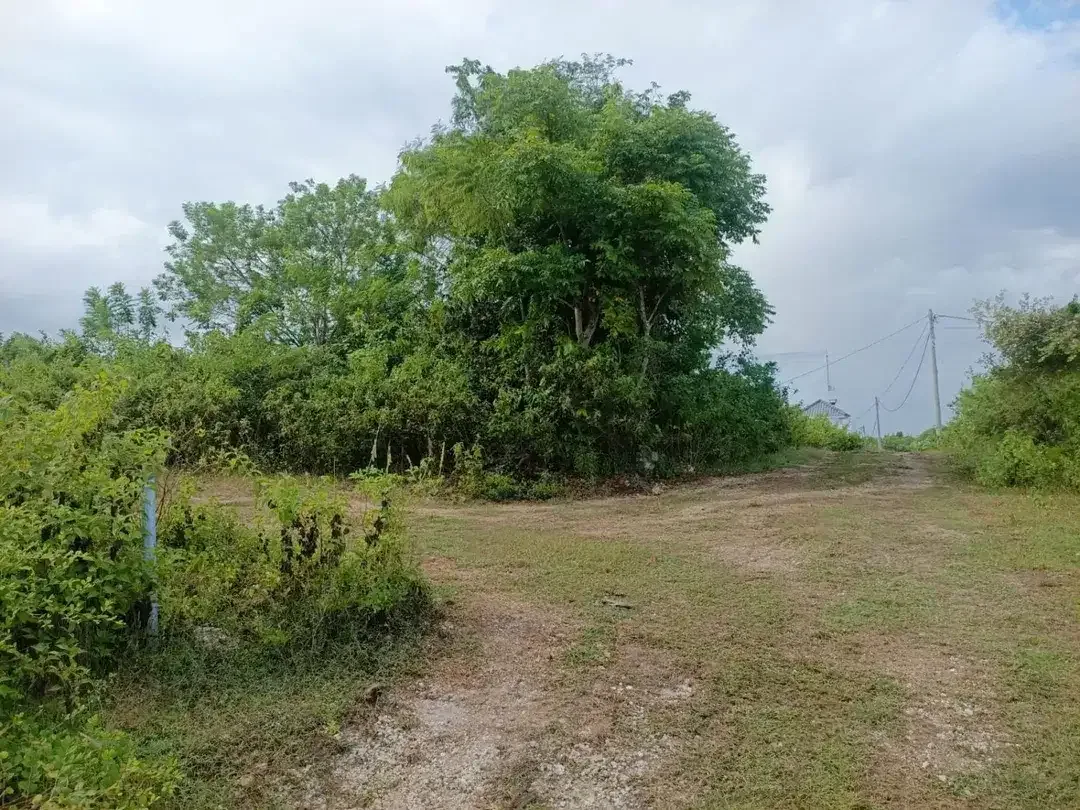 Tanah 1500 m2 Dekat Pantai Pandawa, View Laut & Dekat Golf - Image 2 of 4
