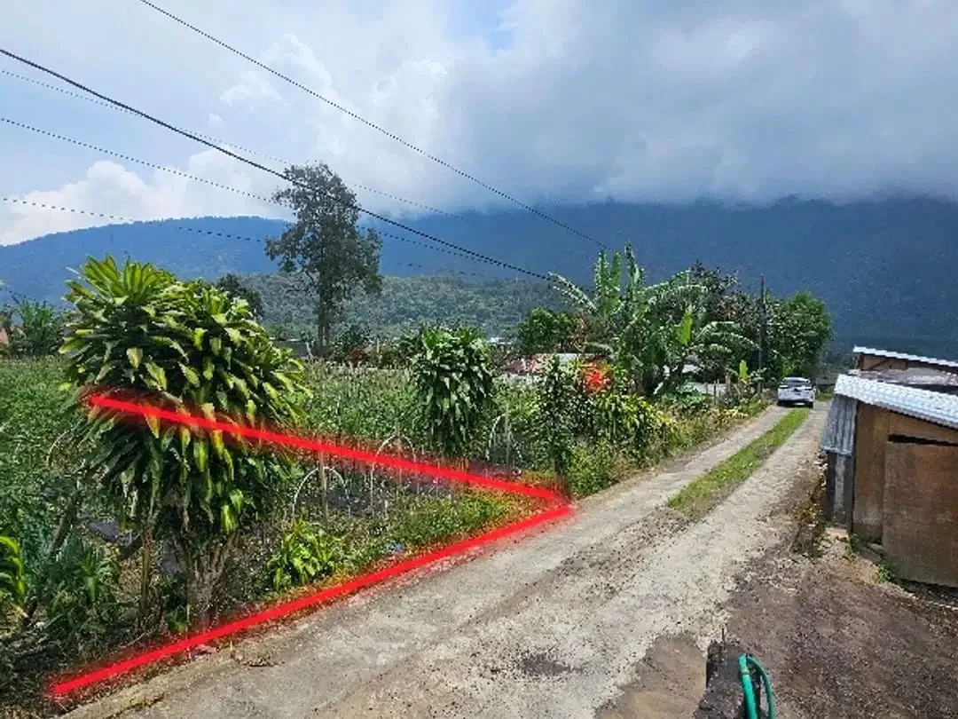 Tanah kebun zona residen cocok untuk investasi dan billa - Image 2 of 9
