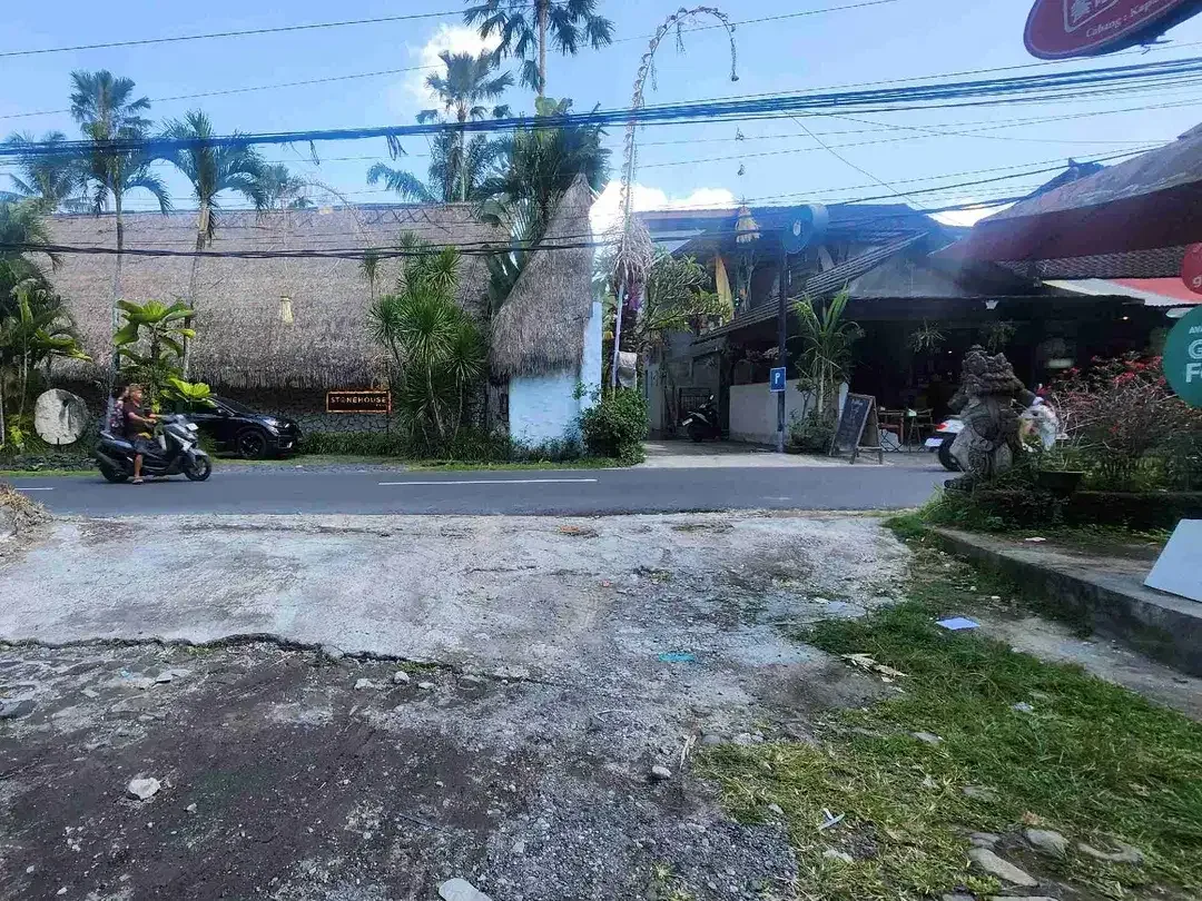 Land For Lease in the Heart of Ubud - Image 3 of 4