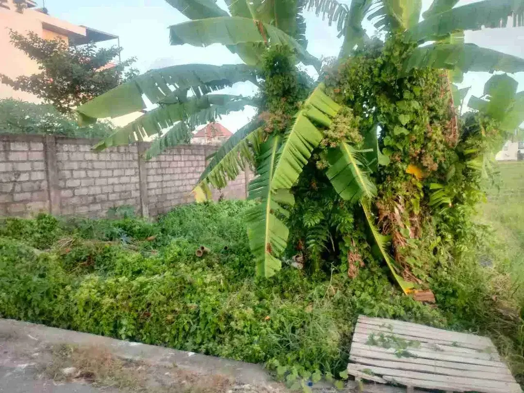 di jual tanah dengan luas 2,55 are tkd badung renon - Image 2 of 4