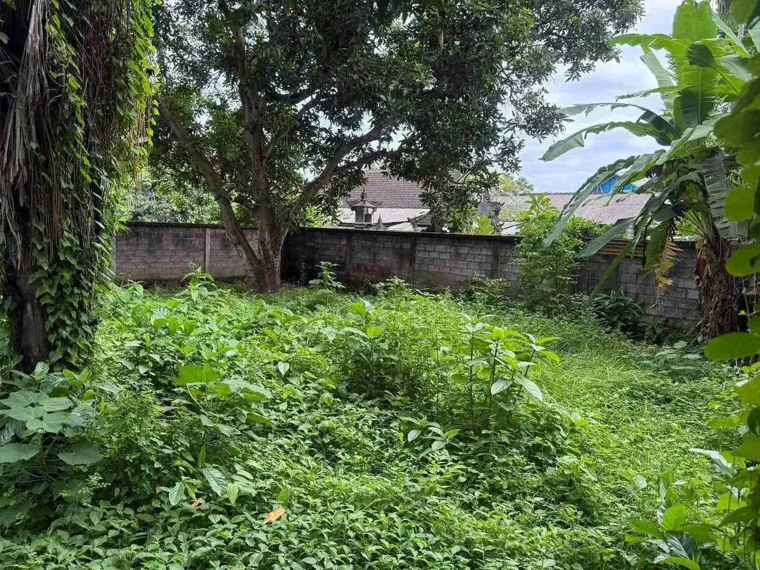 JUAL TANAH DEKAT 
PANTAI KELAN & BANDARA NGURAH RAI BALI
LOKASI JALAN SEGARA MADU, KEDONGANAN
JIMBARAN KUTA SELATAN 
COCOK UNTUK PERUMAHAN, KOMPLEK VILLA 
VILLA KOMERSIL - Image 7 of 10