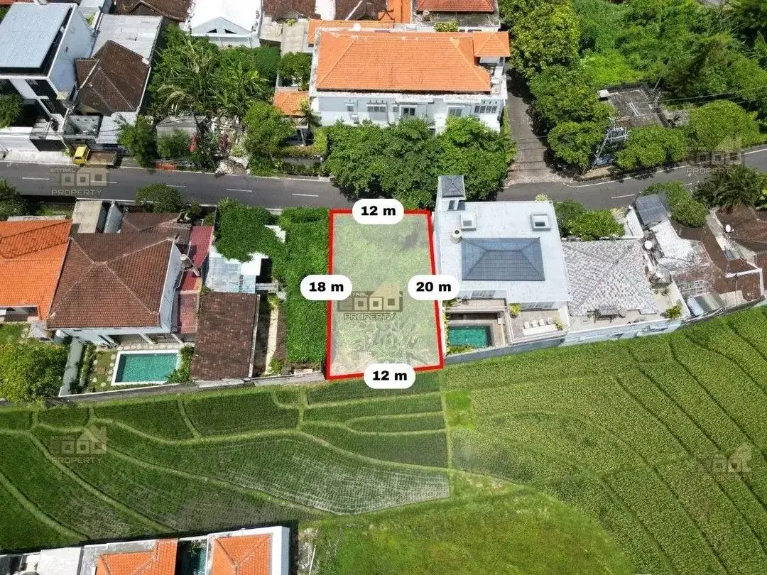 Freehold Land Canggu – Lokasi Strategis & Scenic Ricefield View - Image 2 of 10