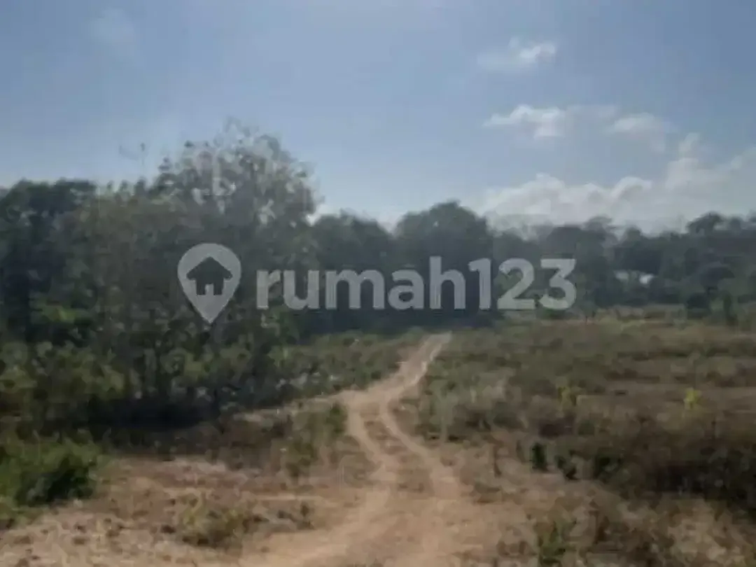 Dijual Tanah Sangat Murah Dekat dengan Pantai - Image 8 of 10
